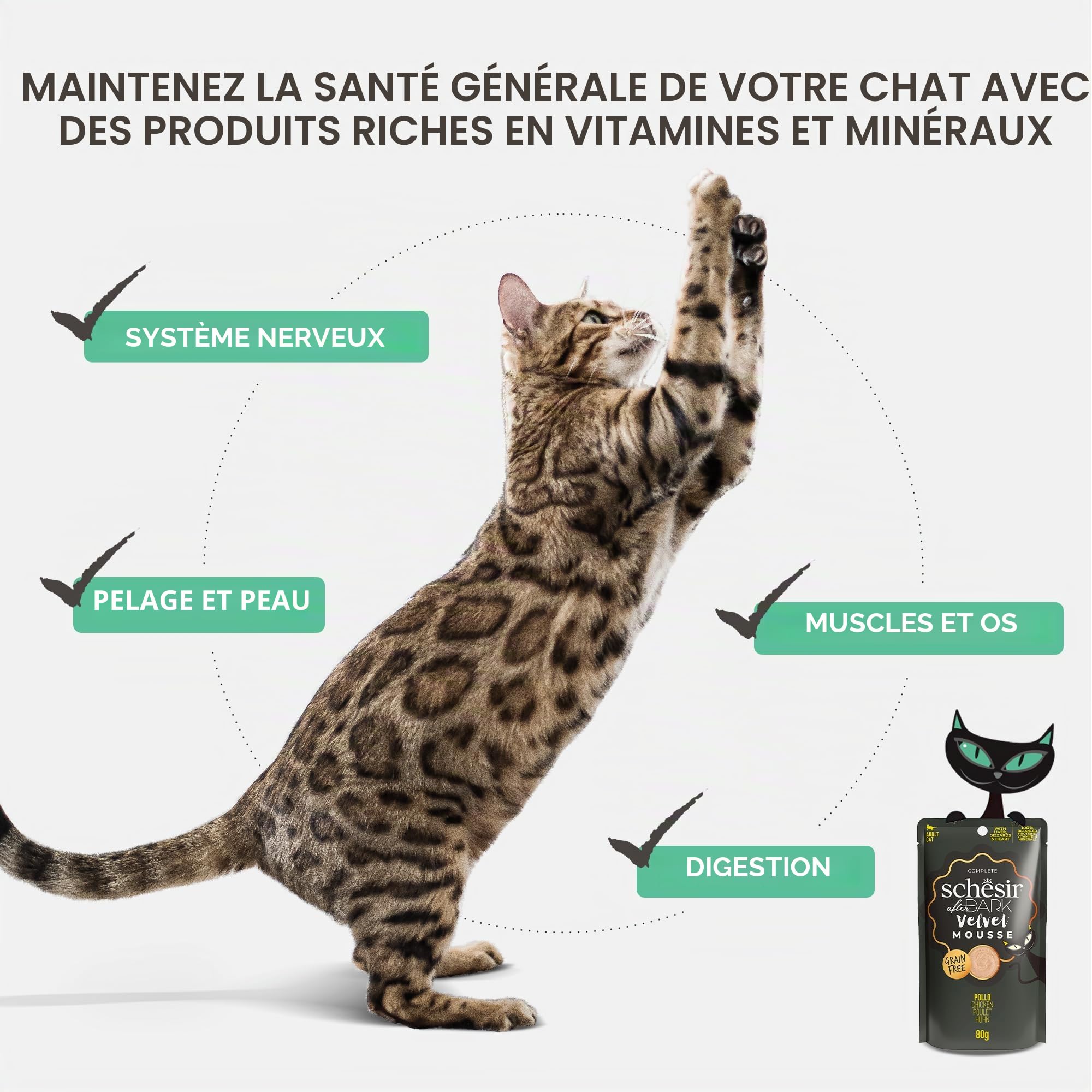 Schesir After Dark, Pack variété en Mousse, Nourriture Humide pour Chats, en sachets, 12 x 80 g