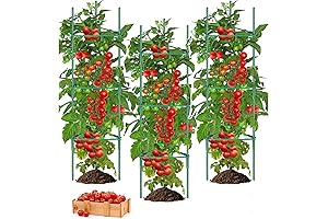 Tomato Cage - 3 Packs Tomato Cages for Garden, 48 Inches Tomato...