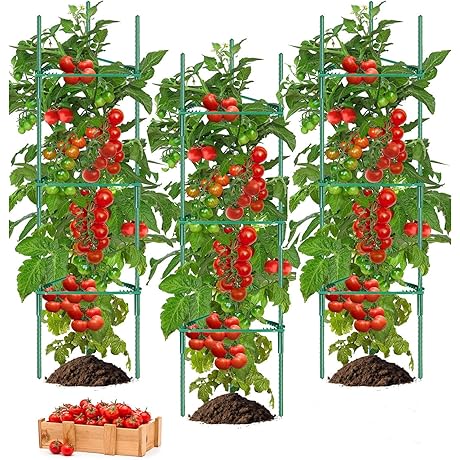 Tomato Cage - 3 Packs Tomato Cages for Garden, 48 Inches Tomato...