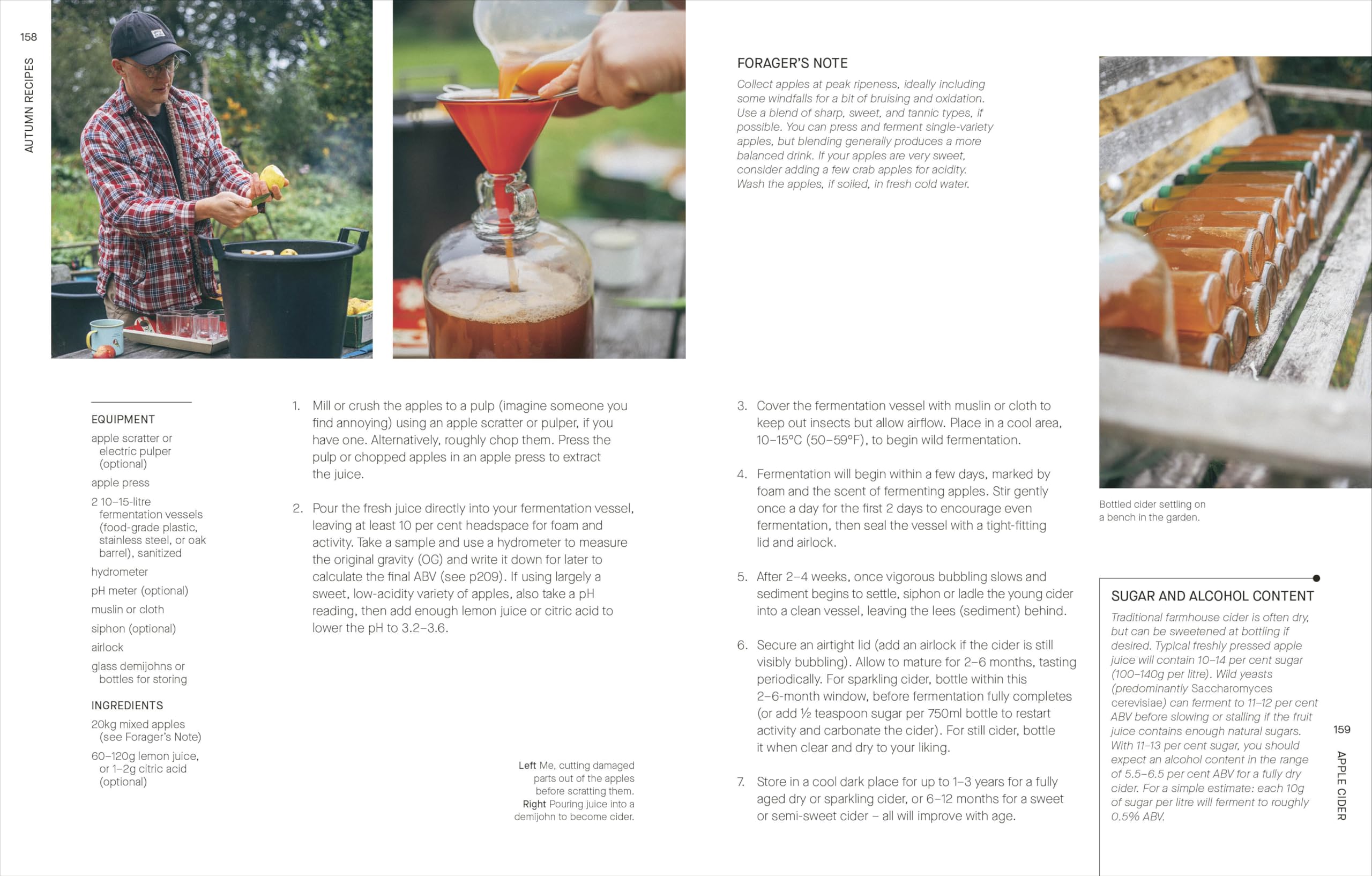 A Year of Fermentation: A Seasonal Guide to the Art & Science of Fermentation