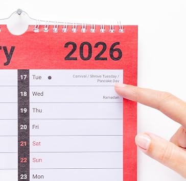 Evelay 2026 Calendar 2 Column Spiral Bound Wall Planner Month to View for Home Office Family with Holidays and Notable Dates