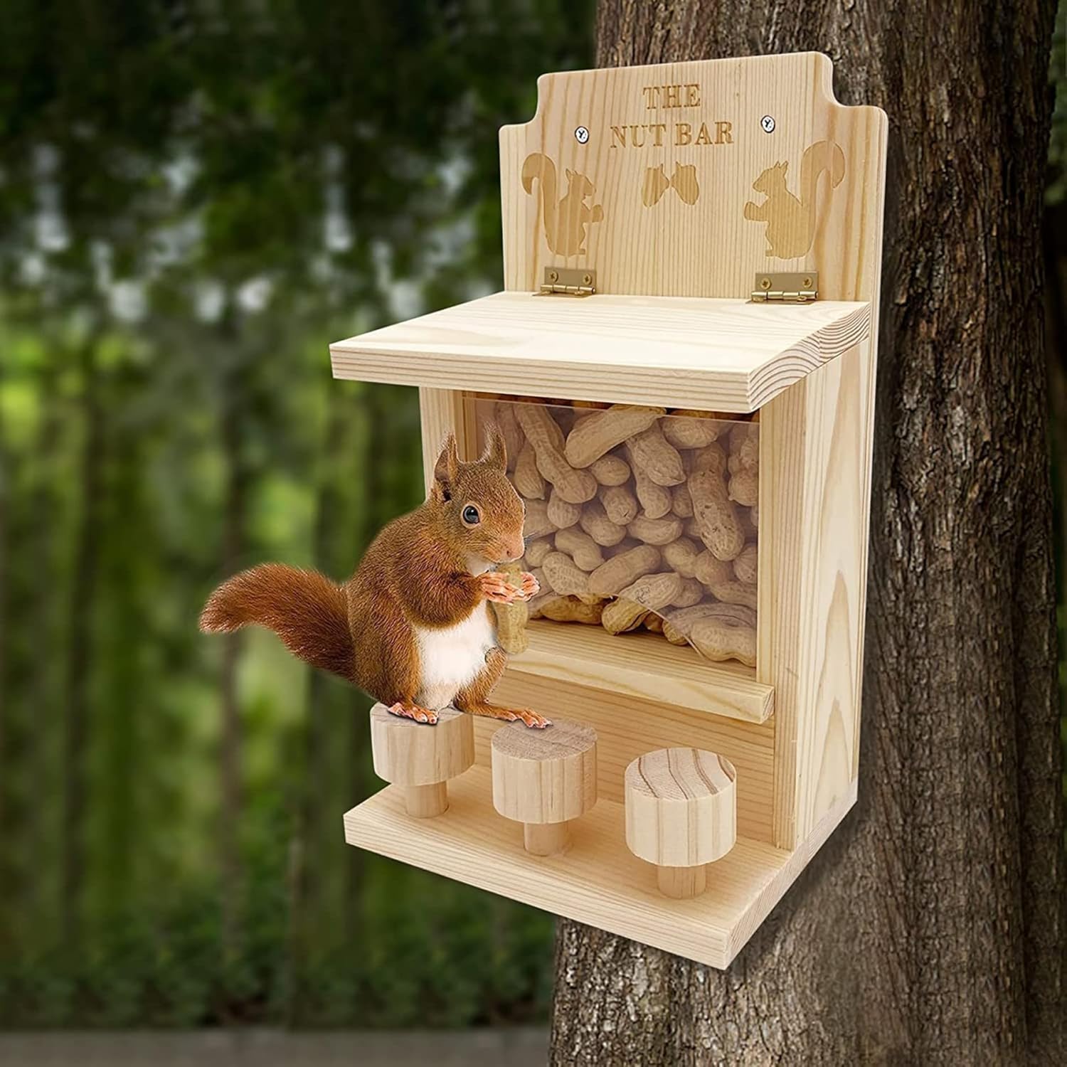 Squirrels Feeders for Outside Hanging Wood Squirrels Picnic Table Feeder with 3 Chairs Falling-Proof Feeder with Stall Bar for Fences and Trees Picnic Table