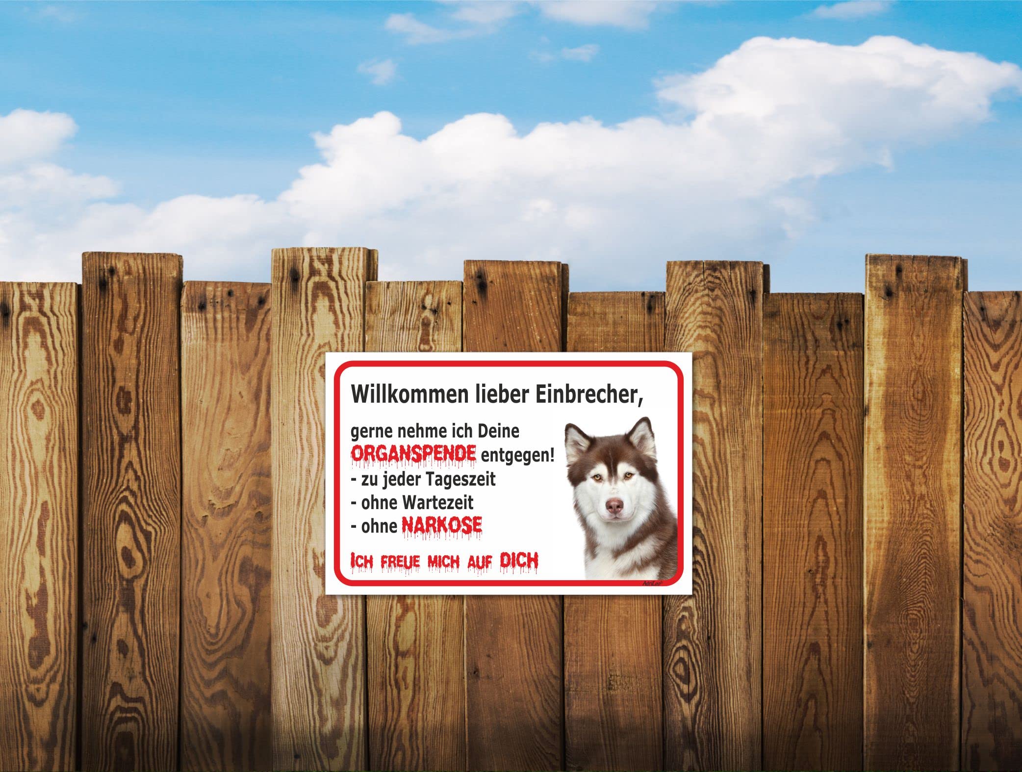 AdriLeo Schild - Vorsicht Husky - Ohne Leine