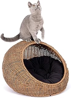 Sponsored Ad - D+GARDEN Wicker Cat Bed for Indoor Cats - a Covered Modern Cat Hideaway Hut of Rattan Houses Pets in Dome B...