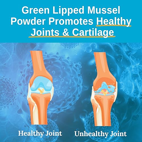 Miniatura 6 de Xtend-Life Green Lipped Mejillón en polvo Suplemento para apoyo inmunológico, salud articular y gestión de la inflamación, 100% de origen natural de