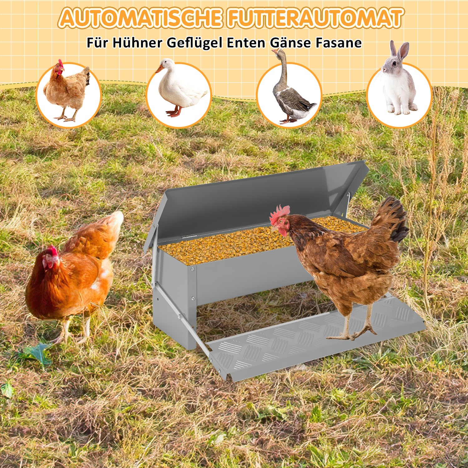 Comedero automático para mascotas con tapa de acero inoxidable, 5 kg, comedero automático para gallinas, 2 comederos, diseño antideslizante e innovador bisel interior, ideal para perros y