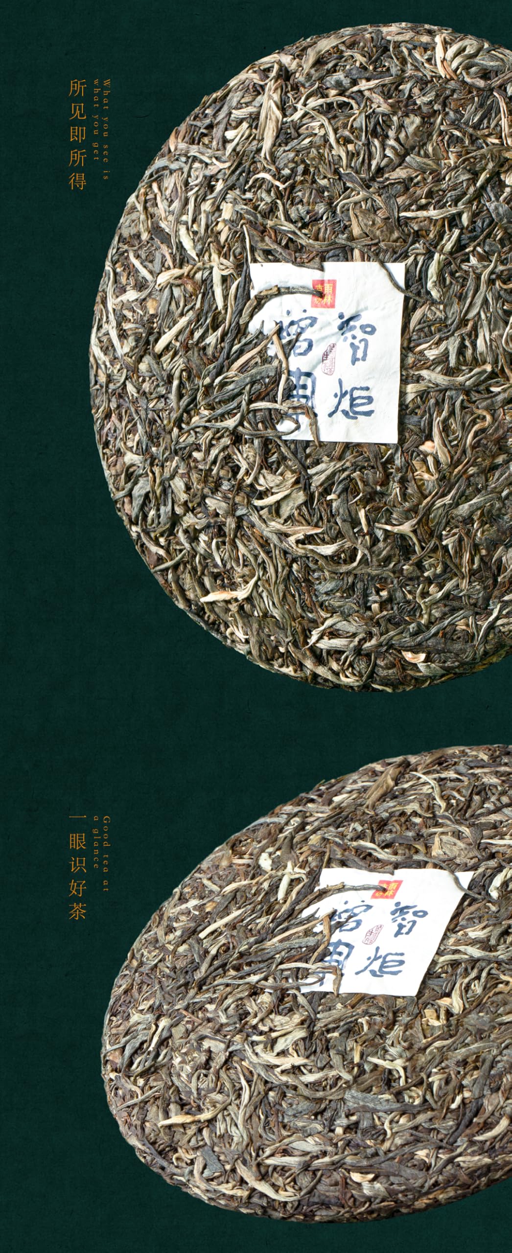 2023 Zhi Ju Zeng Hui Uralter Baum roher Pu-Erh-Tee Sheng Pu-Erh Cake 357 g