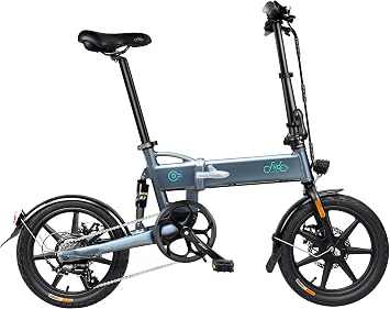FIIDO D2S 16“ Electric Bike 250w 