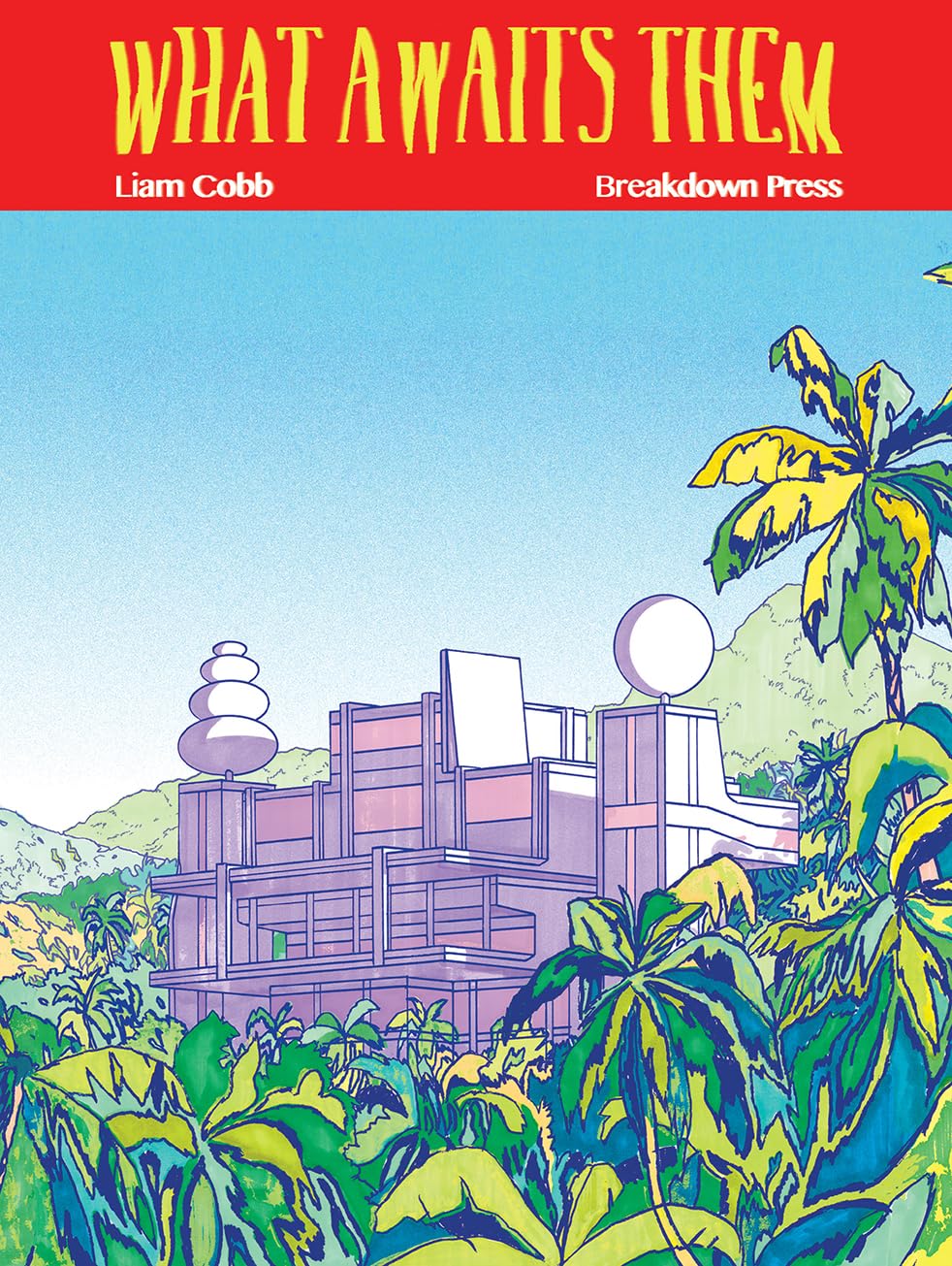 What Awaits Them by Liam Cobb PAPERBACK 9781911081227
