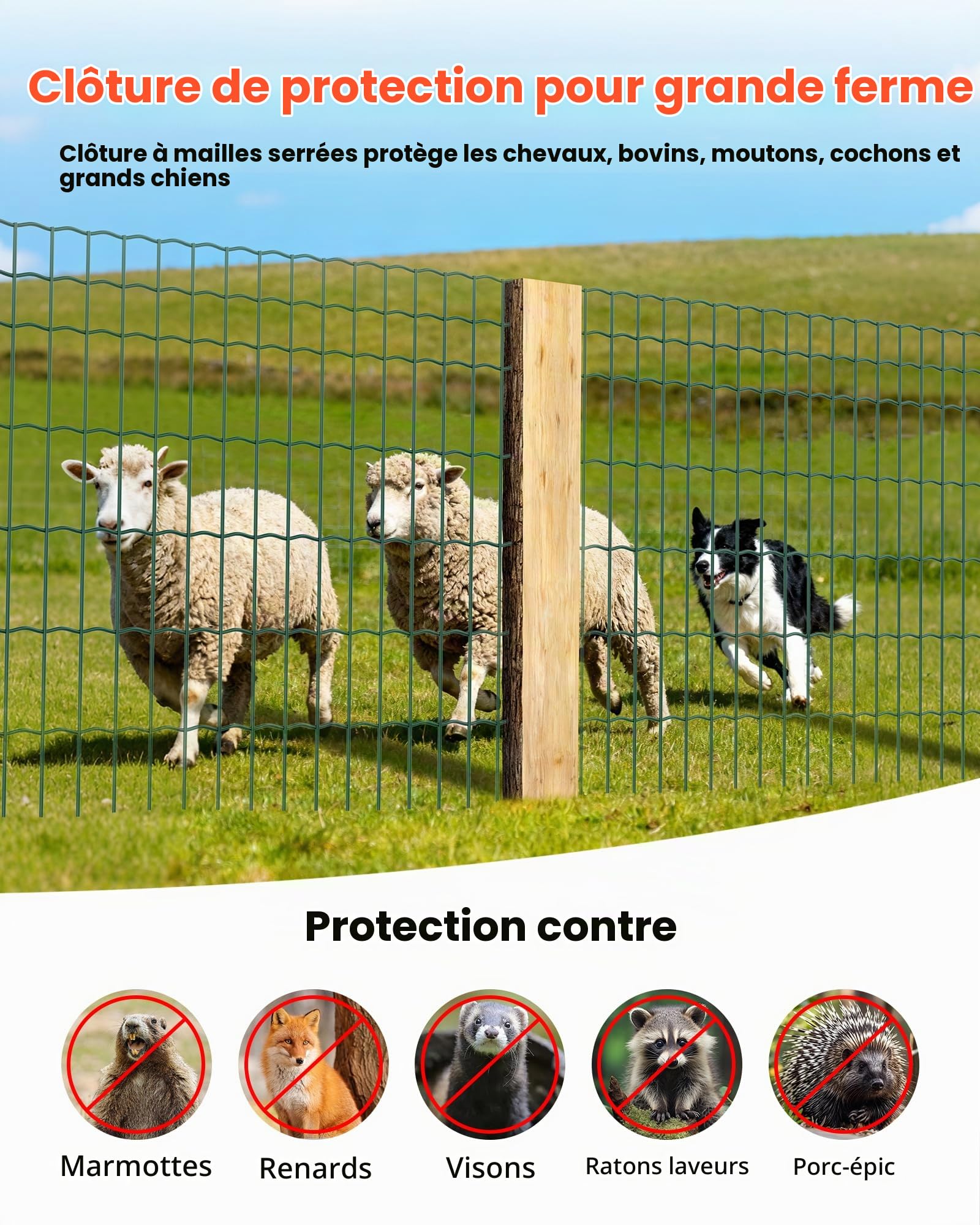 VEVOR Grillage Métallique Vert Maille 5 x 10 cm Rouleau Grillage Clôture à Mouton Soudé 1,2 x 25 m Fil en Fer Galvanisé Revêtement Vinyle PVC Diamètre Fil 2,1 mm pour Jardin Enclos Cage Animaux Ranchs