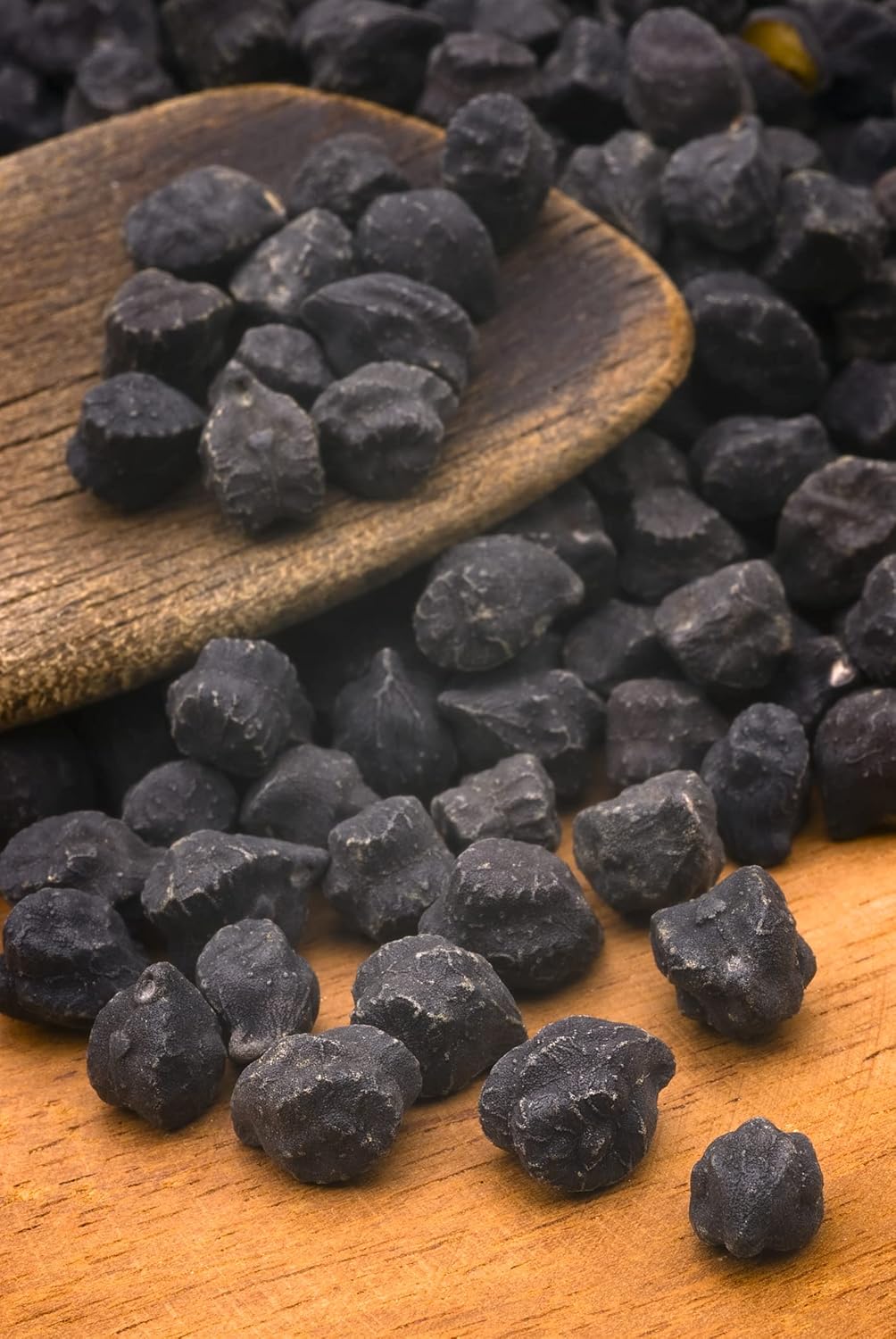 Black Garbanzo Bean Seeds for Planting - Grow Black Chickpeas - Cicer arietinum (1,000 Seeds)