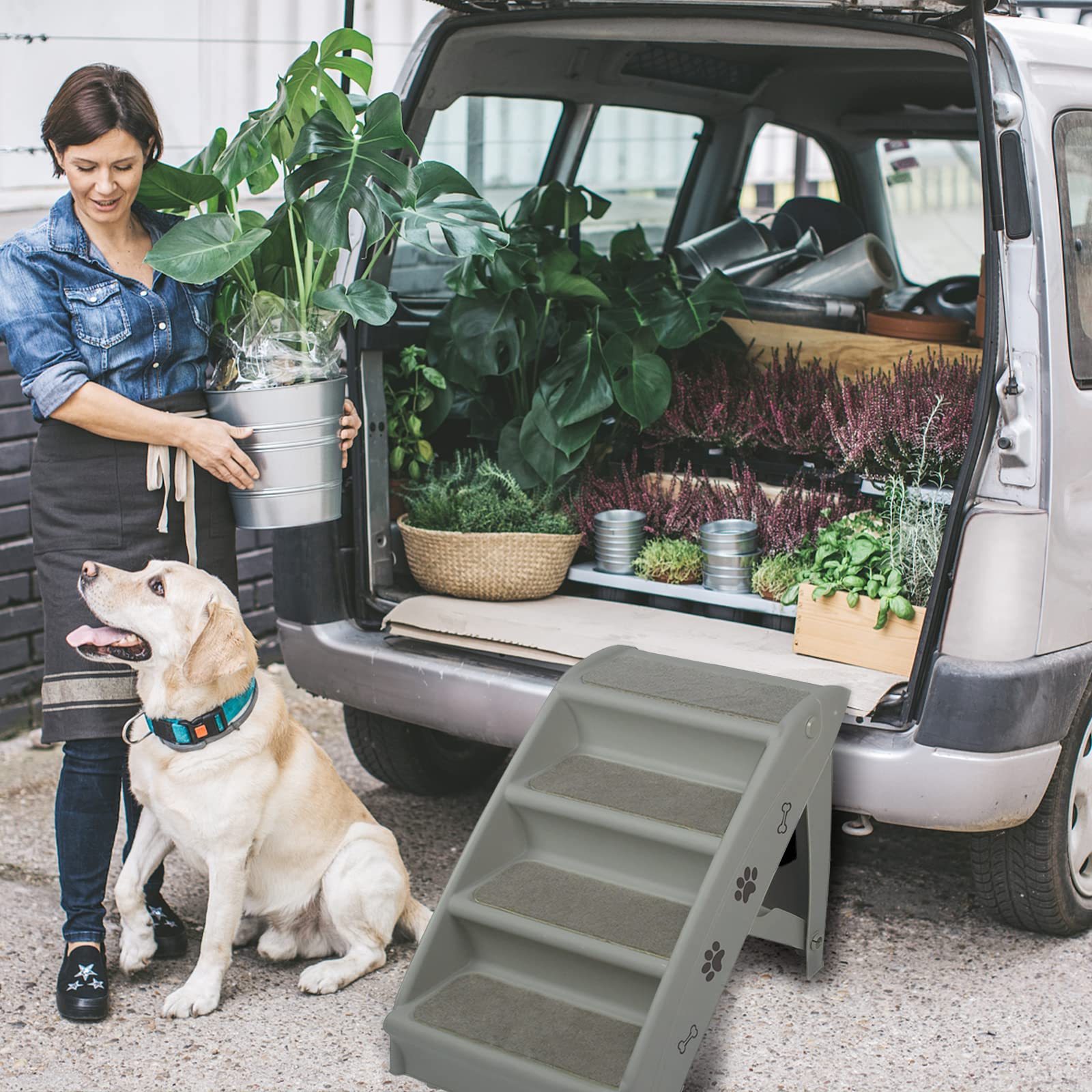 Hundetreppe für Kleine Hunde, Haustiertreppe 4 Stufen Katzentreppe für Alte Katzen, Kunststoff Faltbare Hundetreppe für Bett 50cm Hoch, Belastbarkeit bis zu 75kg Grau