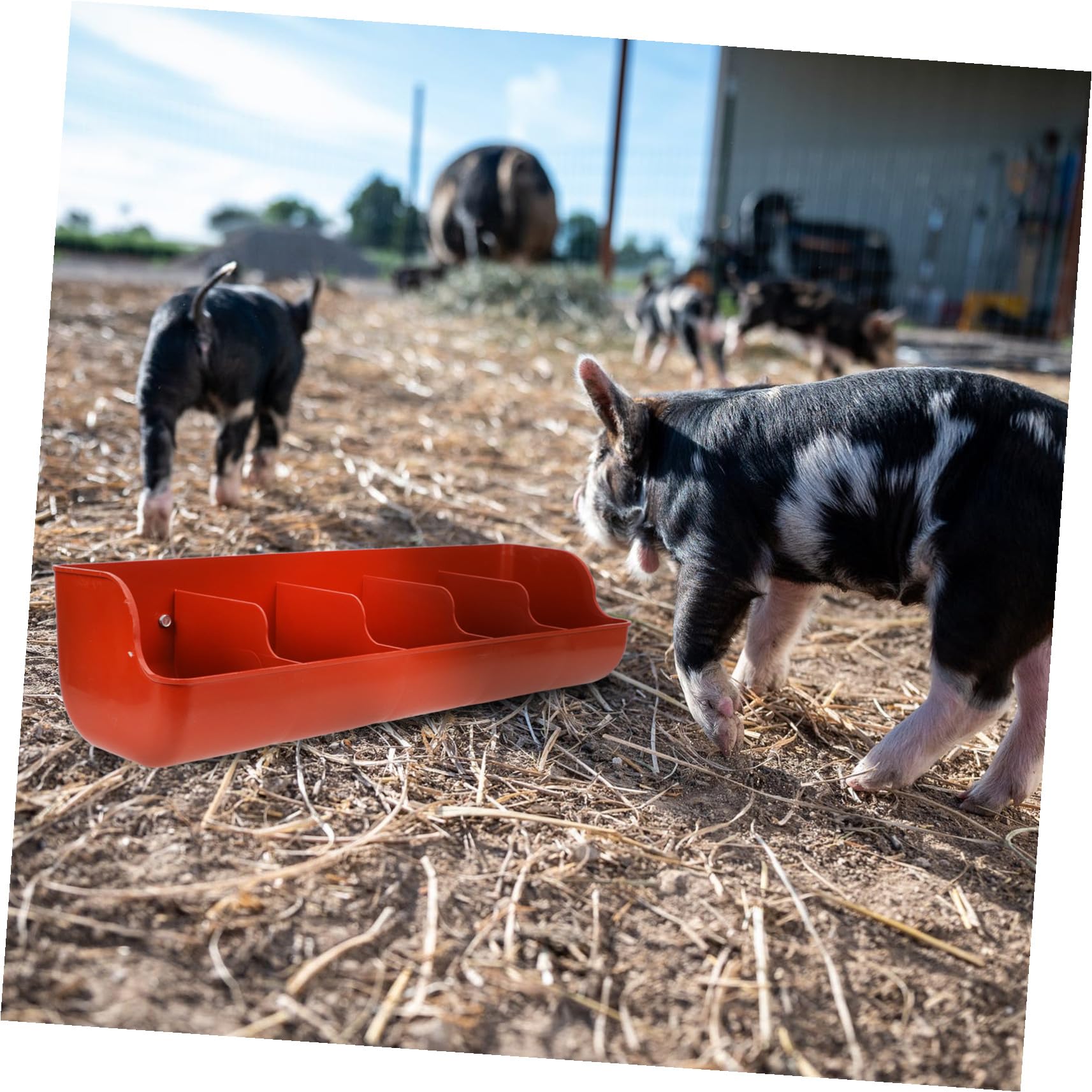 BESPORTBLE Mangiatoia per Suini in Plastica 5 Compartimenti Grande Capacità, Resistente All'usura e Facile da Smontare, per Allevamenti Suini in Fattoria Marrone