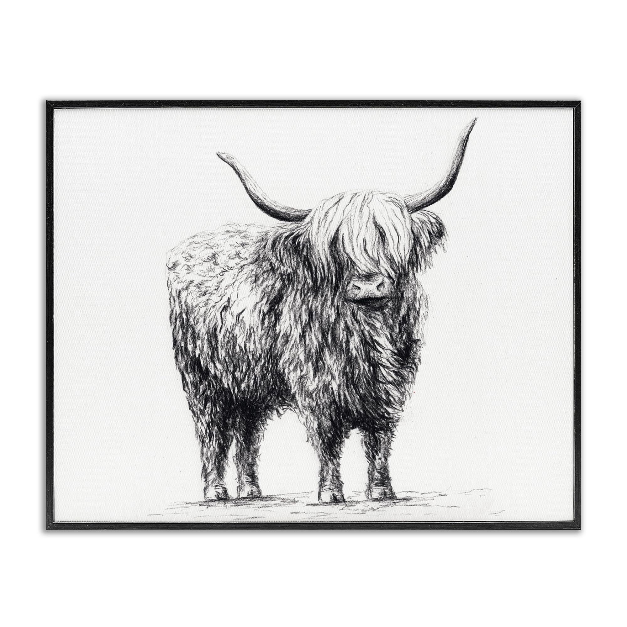 Stupell Industries 'Highland Cow in Charcoal', Framed Giclee Art, Black, 30 x 24 Inches, Easy to Hang and Sturdy, Made in USA, by Leah Noel Art