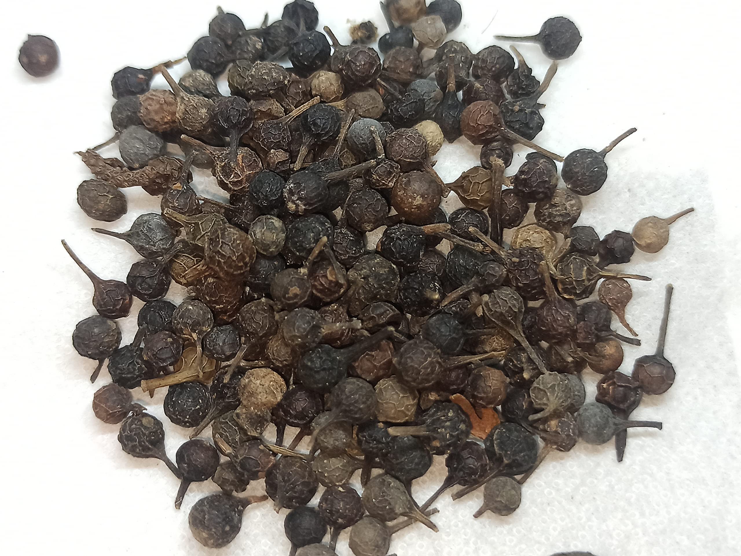 NATURALIFES-*VAAL MILAGU*-Piper cubeba I Tailed Pepper I java pepper I cubeb I valmilaku I kanakamilaku I வால்மிளகு I Kabab-chini I Val-milaku I halava-miriyalu I toka-miriyalu (100 GRAMS) (B0BXCYT46G) Amazon Price History, Amazon Price Tracker