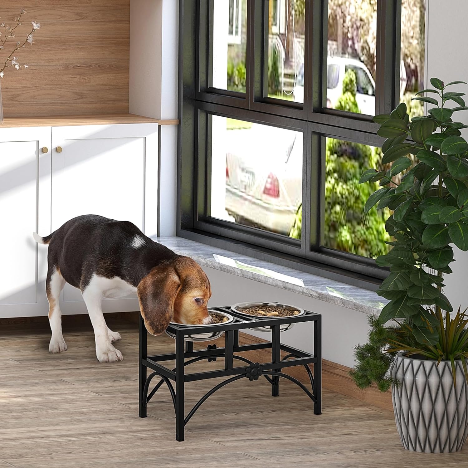 Elevated Double Dog Cat Bowls for Indoor Cats，Raised Stainless Steel Dog Cat Bowl Elevated,Pet Feeding Bowls for Food and Water Suitable for All Dogs Cats