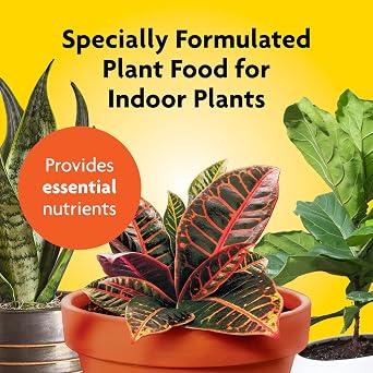 Miracle-Gro Indoor Plant Food, Liquid Plant Food for Houseplants, Snake Plants, Peace Lilies, Flowers, Vegetables, Herbs and More, 8 oz.