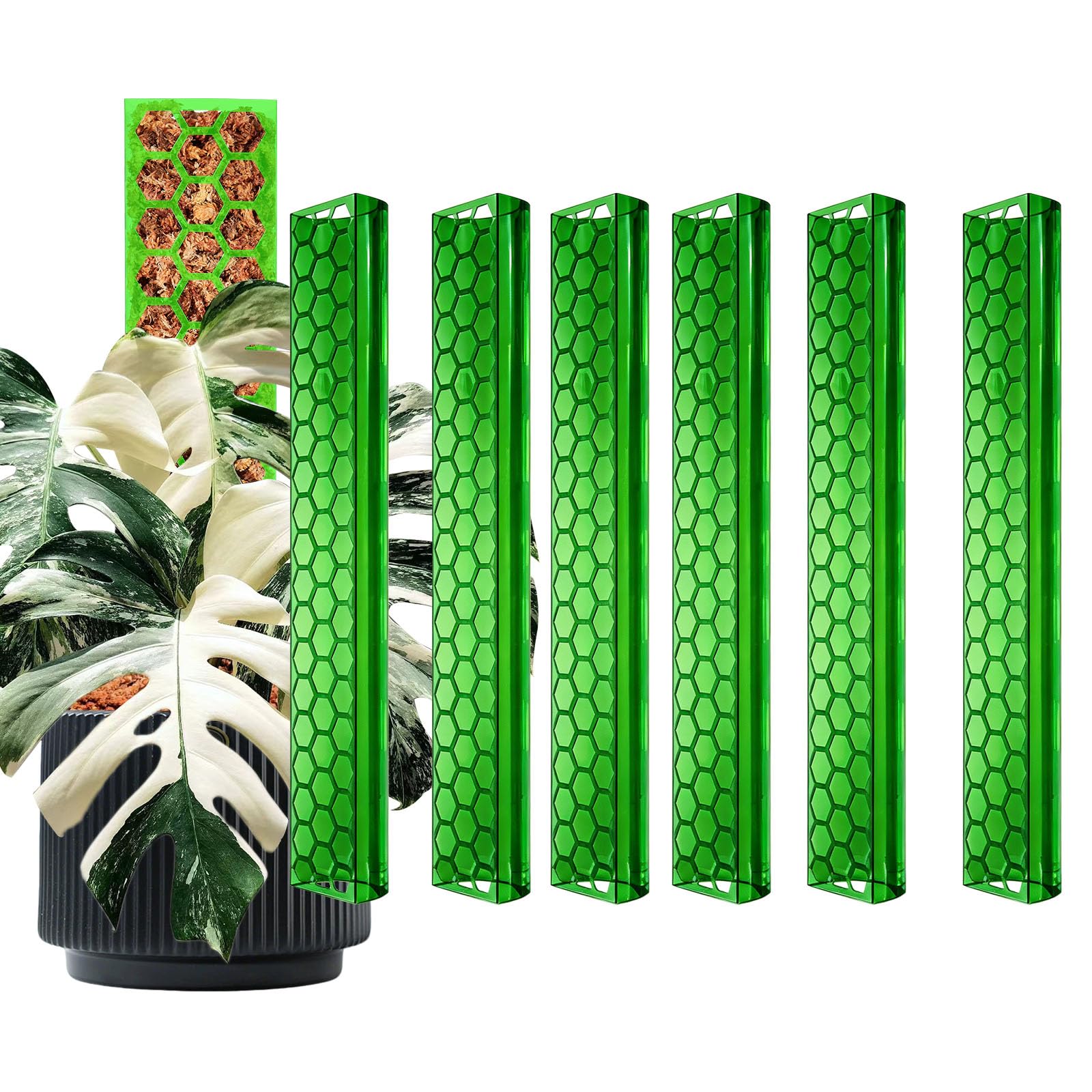 Plastic D Shape Sphagnum Moss Pole for Climbing Plants - 6 Pcs 17 Inch 64.5cm Plastic Stackable Plant Support, Designed for Monstera & Indoor Plants with Enhanced Stability（Clear Green）