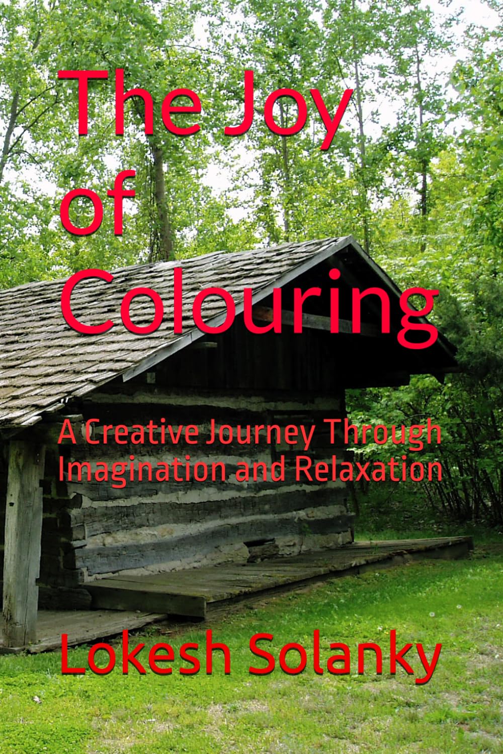 The Joy of Colouring: A Creative Journey Through Imagination and Relaxation