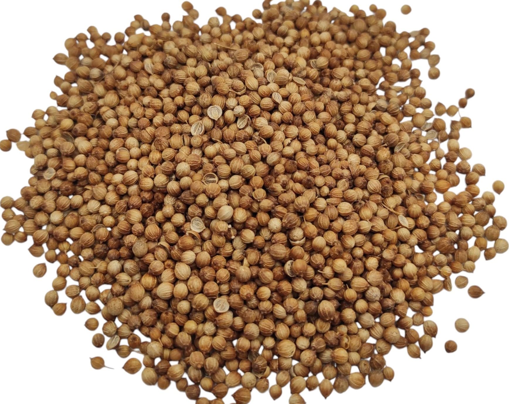 Graines De Coriandre Entières 85g - 1.95kg Coriandrum sativum (1950 grammes)