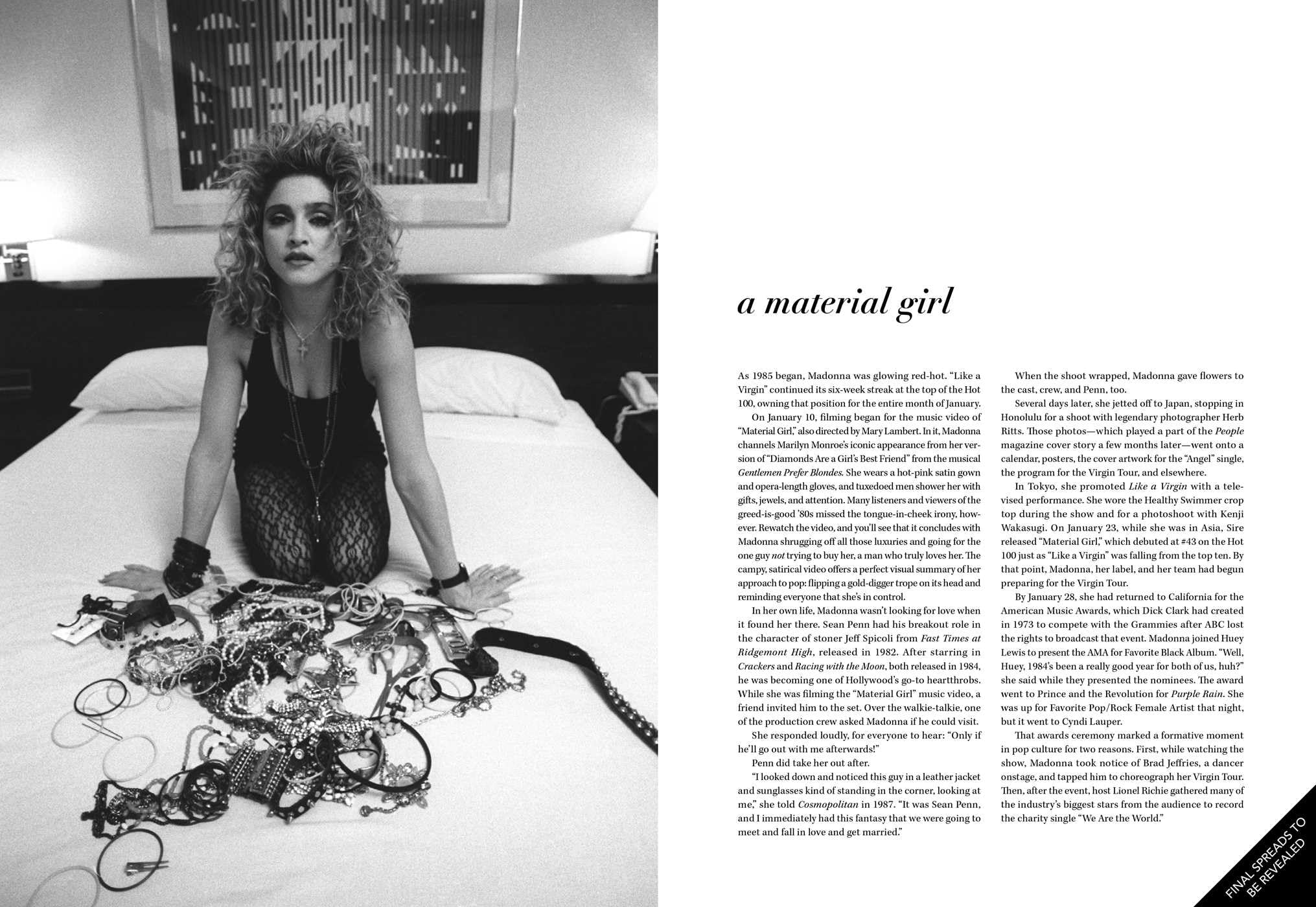 Madonna: Into the Groove: An Intimate Portrait of the Queen of Pop
