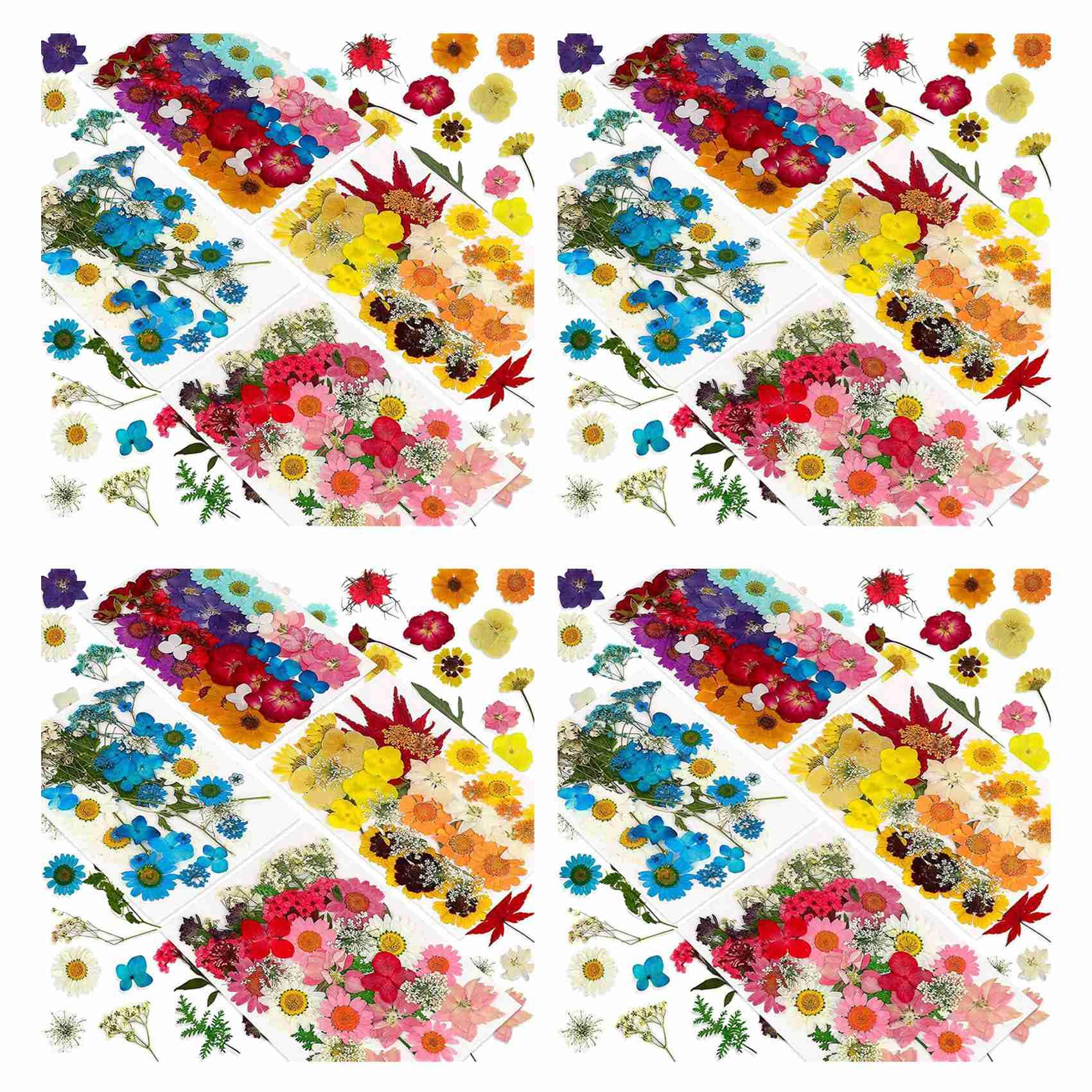 Hndhbfgrt 576PCS Natural Dried Pressed Flowers for Resin,Dry Flower Bulk Natural Herbs Kit for Candle,Epoxy Resin,DIY Art Crafts