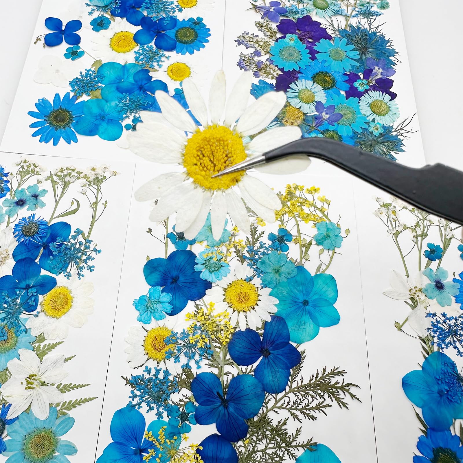 Fiori Secchi Pressati Naturali - Set Per Resina, Scrapbooking E Artigianato In Scatola Portatile - Foto 9