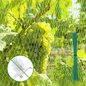 Bird Protection Net Bird Net Close-Mesh 4 x 10 m Pigeon Net Balcony Green mit 50 Kabelbinder Teichnetz Laubnetz Gartennetz Obstbaumnetz f r Garten Balkon oder Teich Obstb ume Erdbeer Kirschenbaum