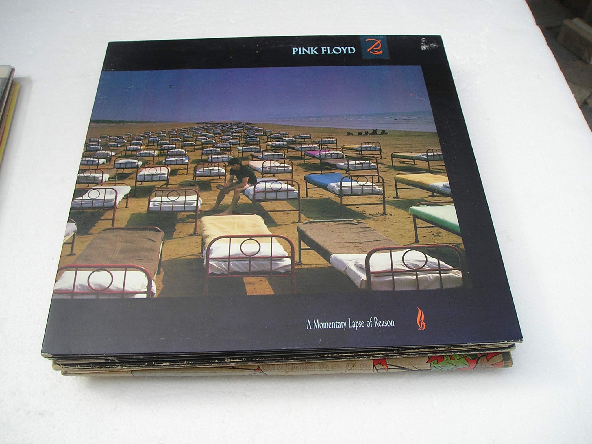 A Momentary Lapse Of Reason [VINYL]