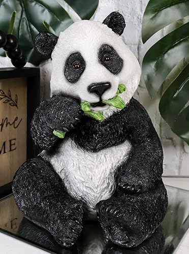 Miniatura 2 de Ebros - Estatua de bambú gigante realista realista de China de 8.25 pulgadas de alto con ojos de cristal pintada a mano del este de los pandas de la