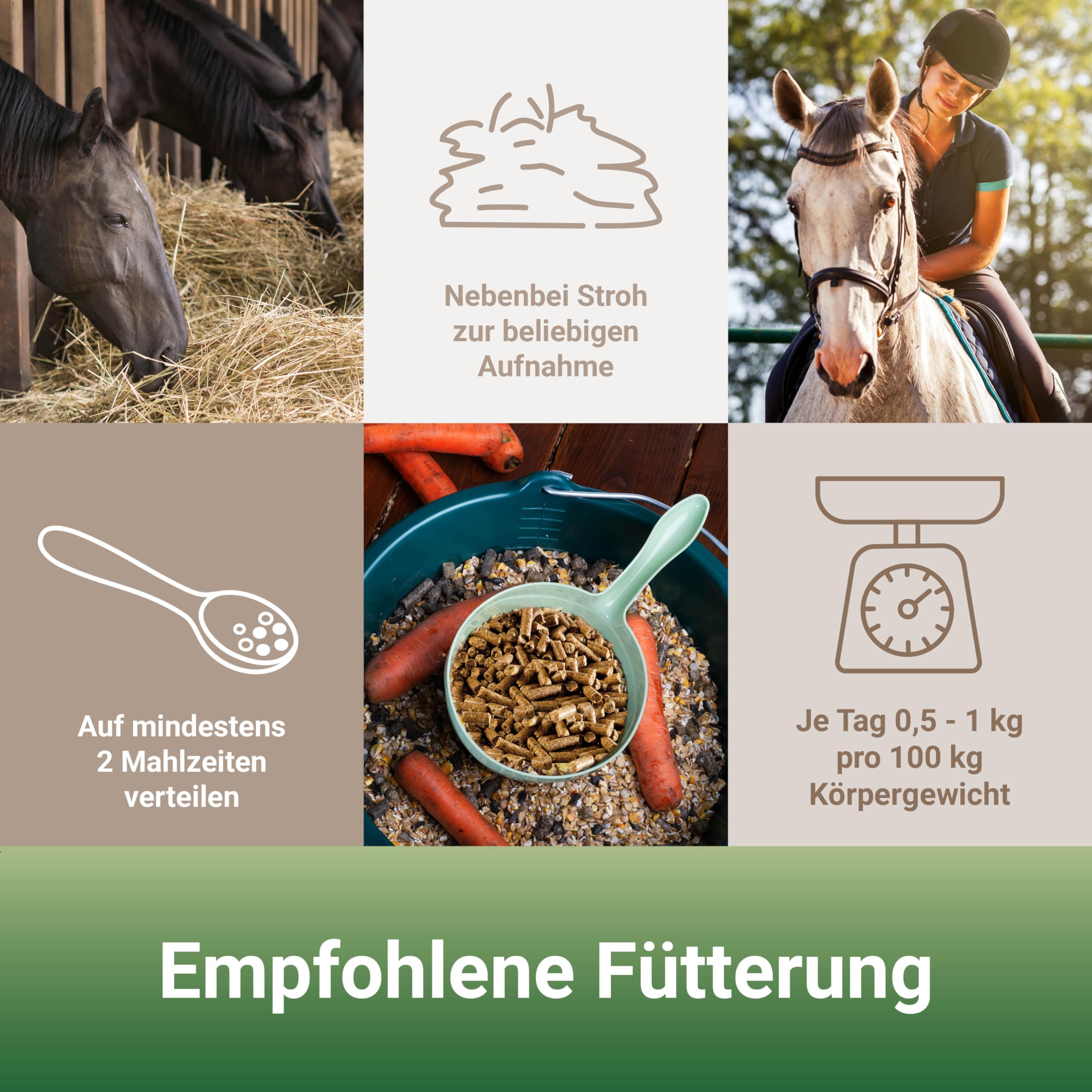 PANTO Rundum-Set Pferd – Formel A, Mineralleckschale & Leckerli | Komplettset aus Allroundpellet, Mineralleckschale mit Spurenelementen & Leckerli – Rundumversorgung für Pferde
