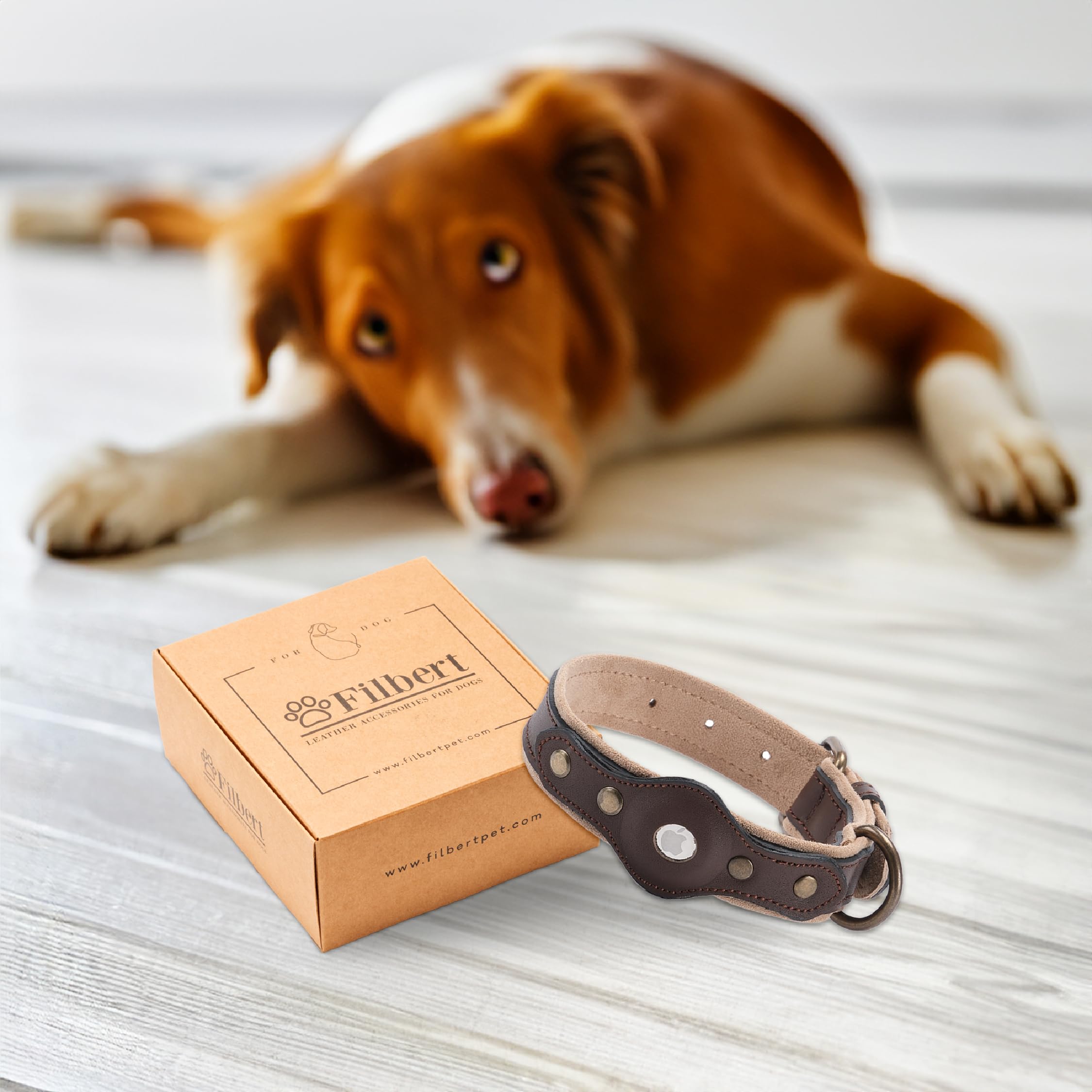 Filbert Collar de perro con soporte para Airtag, collar de perro Airtag, collar de cuero para perro Airtag, collares de cuero para perros grandes compatibles con Apple Air Tag, collar Airtag 5