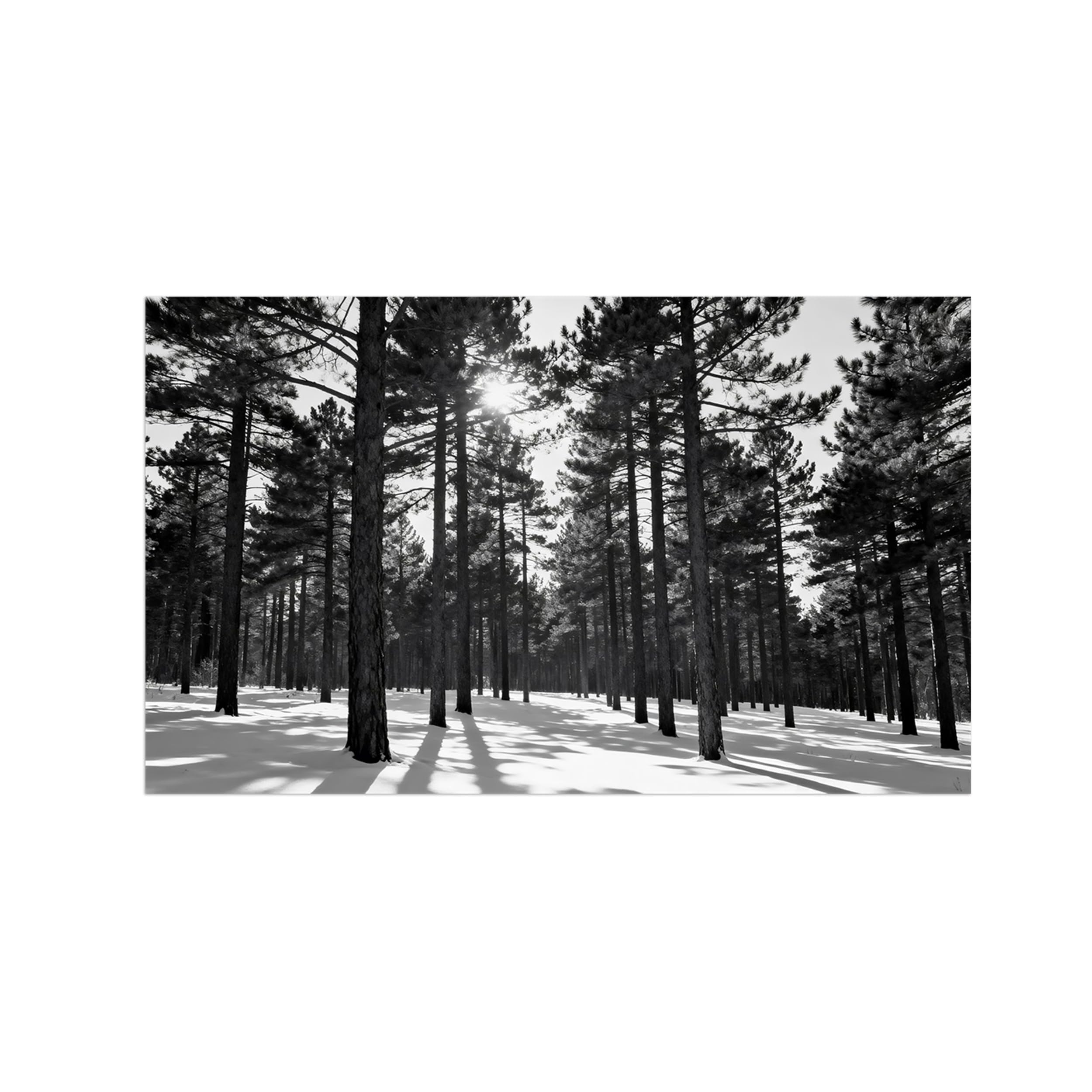 OZPWBVY Winter Tree Black White Landscape Wall Art Prints 40x70cm Unframed
