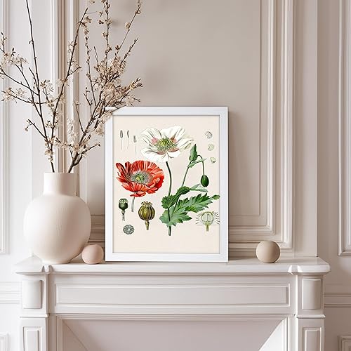 Miniatura 414 de Poster Master Póster vintage de orquídea, estampado de flores retro, arte de pared de plantas exóticas, arte botánico, regalo para hombres y
