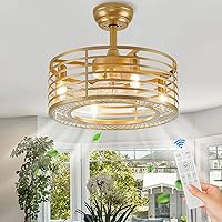 Vista 1 de FookChak Ventilador de techo enjaulado con control remoto, moderno ventilador de techo de jaula dorada con luz sin aspas para sala de estar