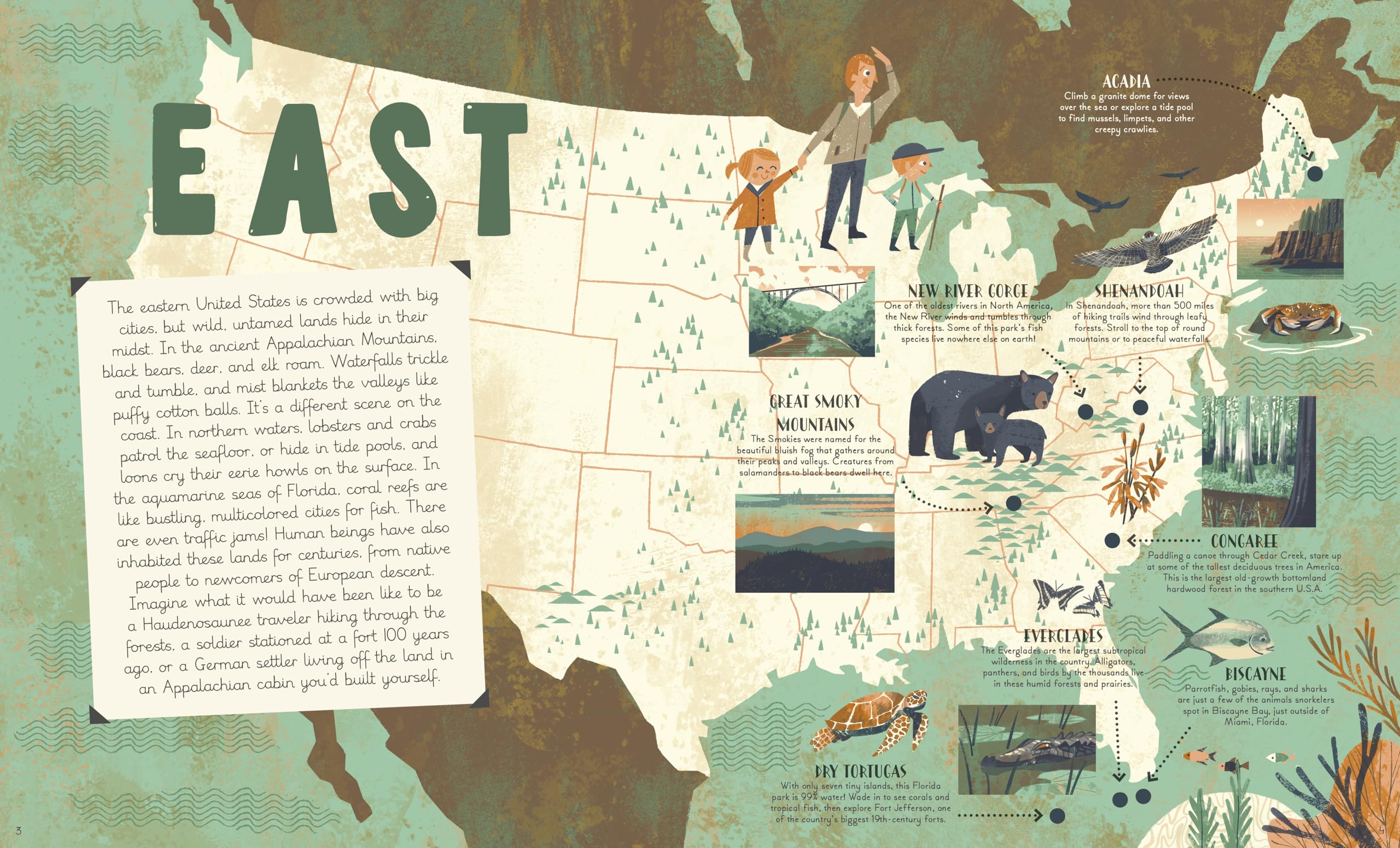 National Parks of the USA (Americana) - Image 3