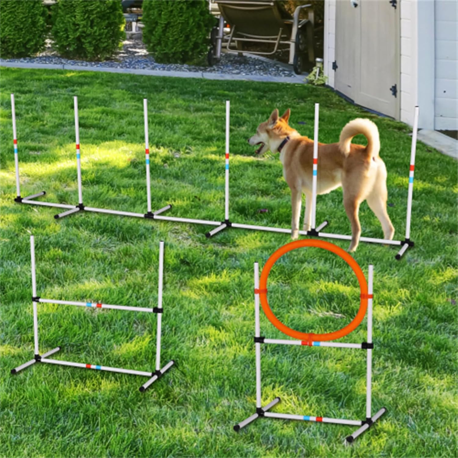3-Piece Dog Agility Equipment Set, Dog Obstacle Course, Pet Supplies, Outdoor Pet Training Rack for Backyard, Patio