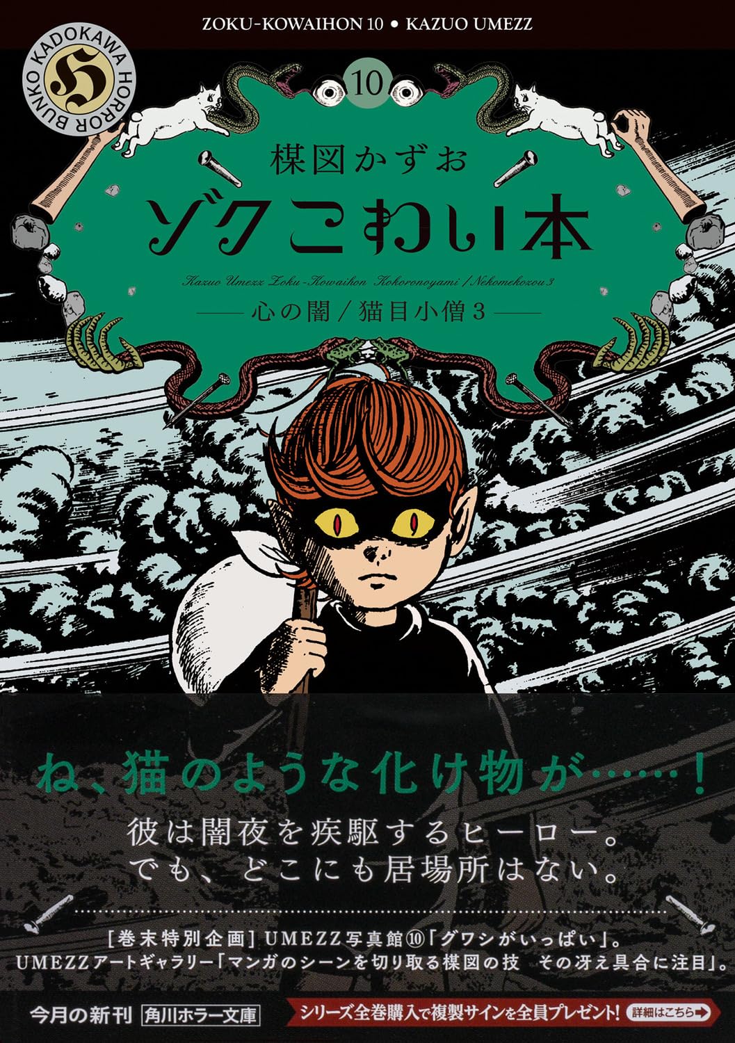 Amazon.co.jp: 楳図 かずお: 本、バイオグラフィー、最新アップデート