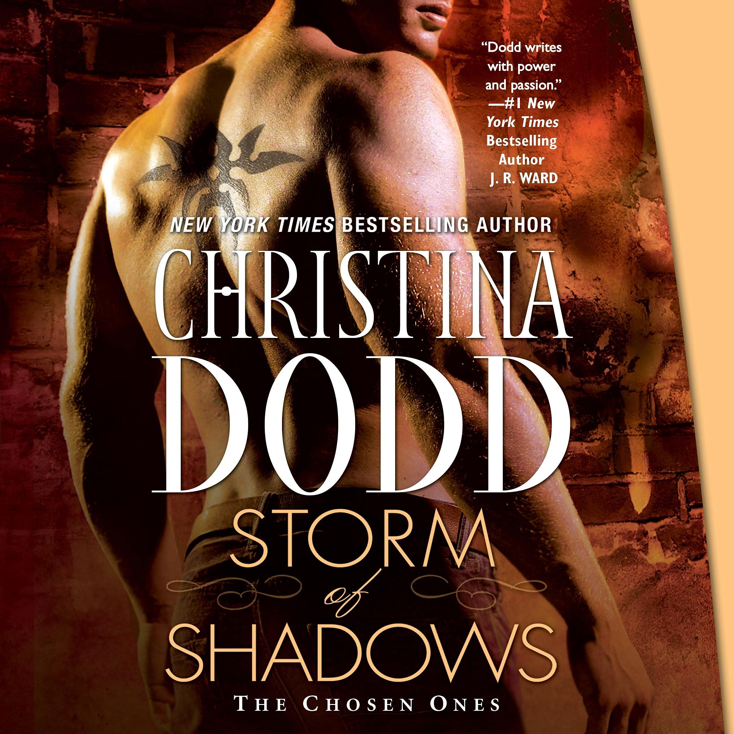 Cover art for Storm of Shadows