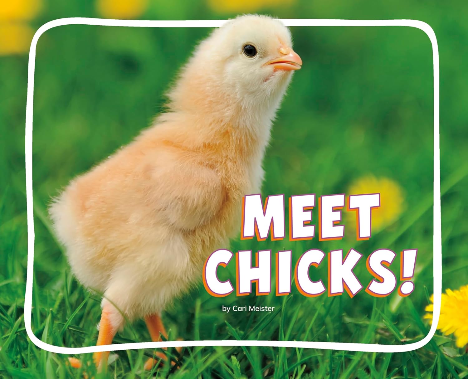 Meet Chicks! (Adorable Baby Animals)      Kindle Edition