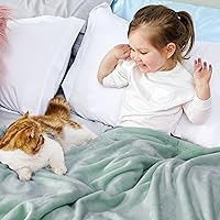 Vista 414 de Bedsure - Manta de vellón, tamaño queen, suave, ligera, afelpada, mullida, acogedora, de microfibra de lujo, color rosa, 90 x 90 pulgadas