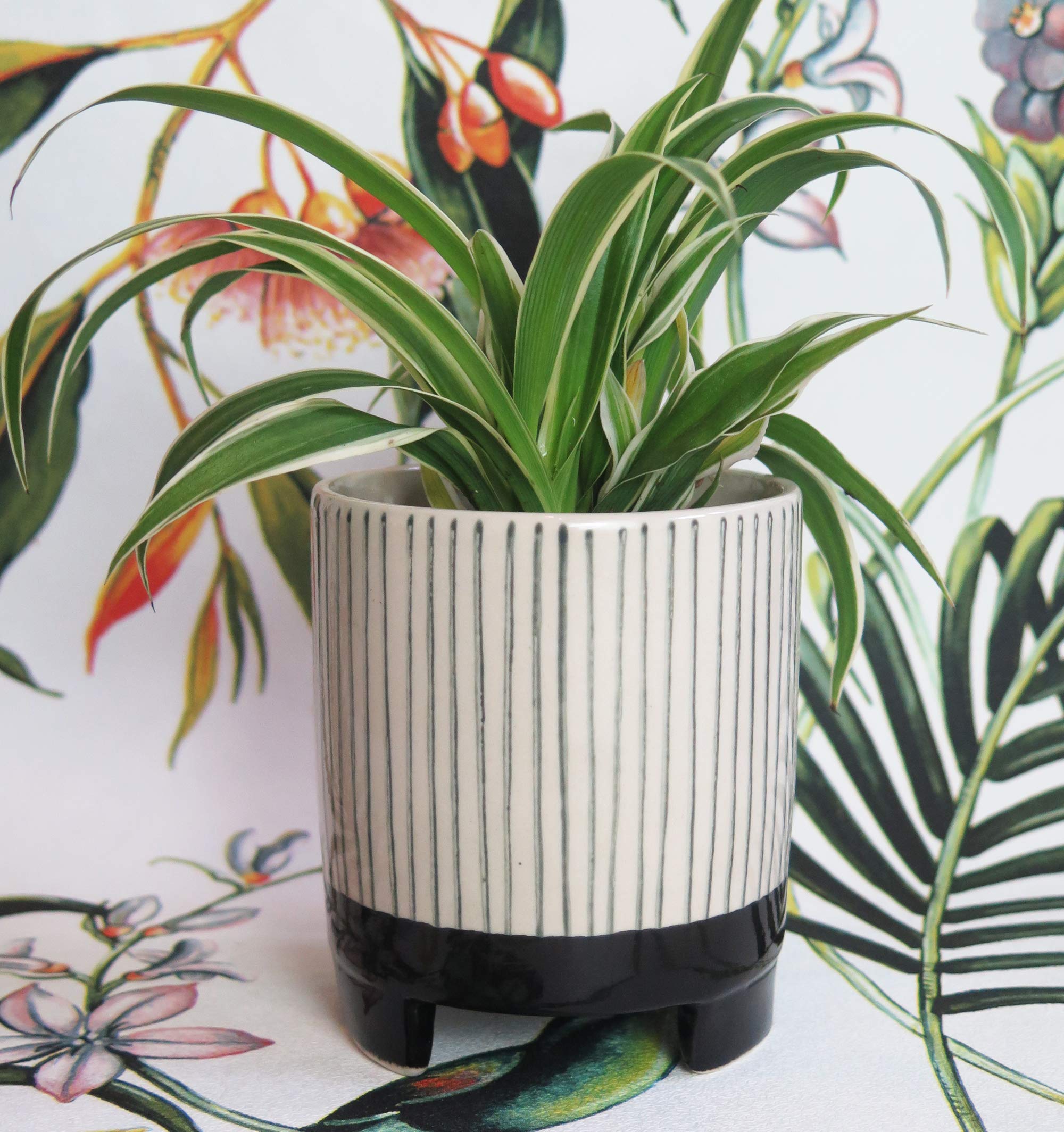 Small Black & Beige Geometric Striped Indoor or Outdoor Exotic Planter Flower Pot - Home Decor Boho Chic Plant Pot