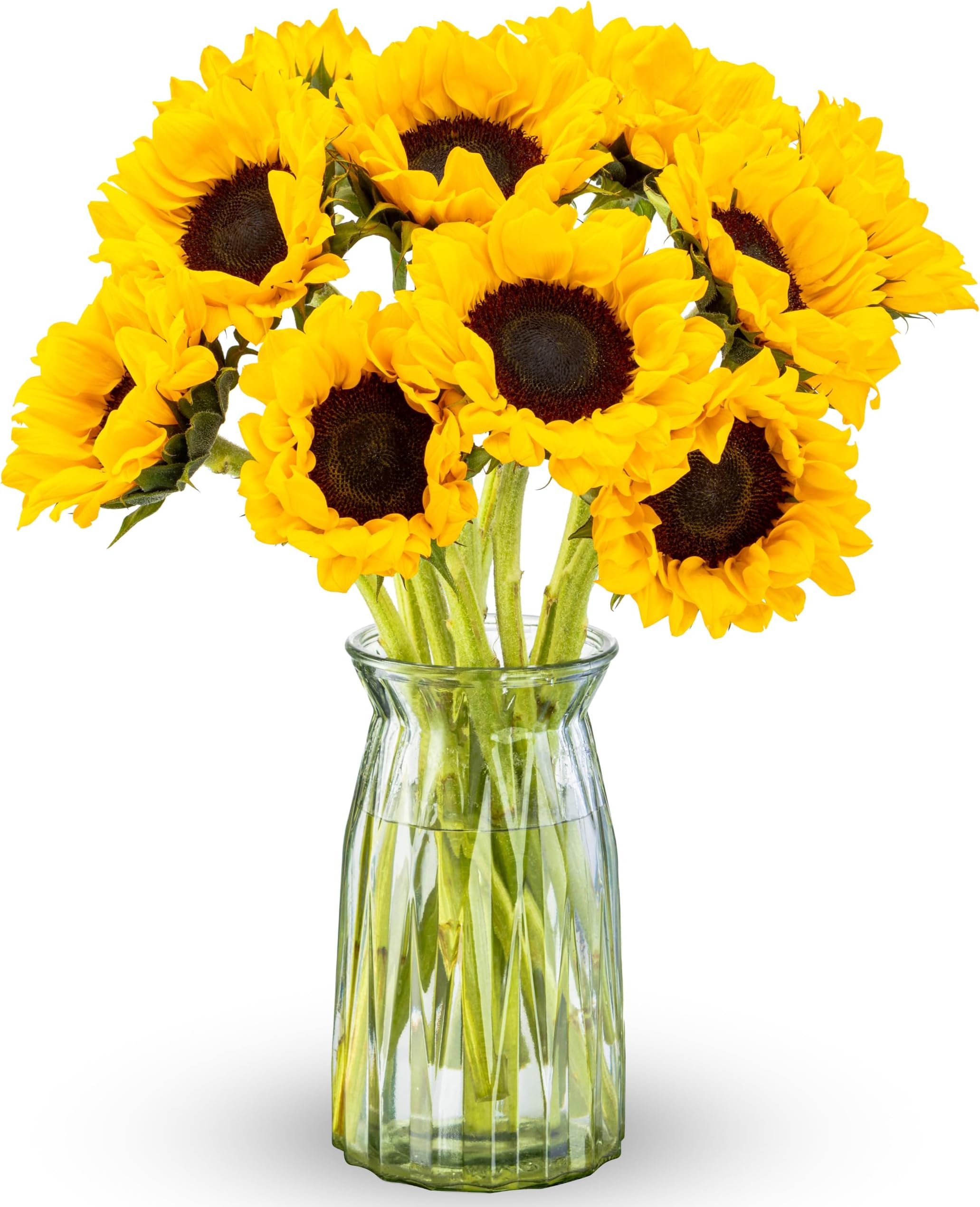 Benchmark Bouquets - Sunflowers - Fresh Flowers for Delivery - Mothers Day Flowers - Yellow Flowers in a Vase - Flores Amarillas - Mothers Day Gifts for Mom - Glass Vase Included (10 Stems)