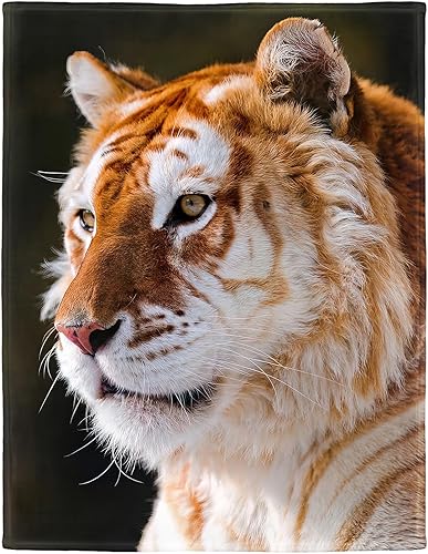 Miniatura 1 de HommomH Manta de tigre dorado de 40 x 50 pulgadas, con estampado de animales, suave y mullida, para sofá o cama