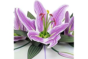 3D Purple Lilies Pop Up Card: A Heartfelt Expression for Every Occasion
