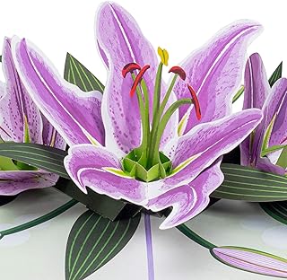Paper Love 3D Pop Up Card, Purple Lilies, For Mothers Day, All Occasions - 5" x 7" Cover - Includes Envelope and Note Tag