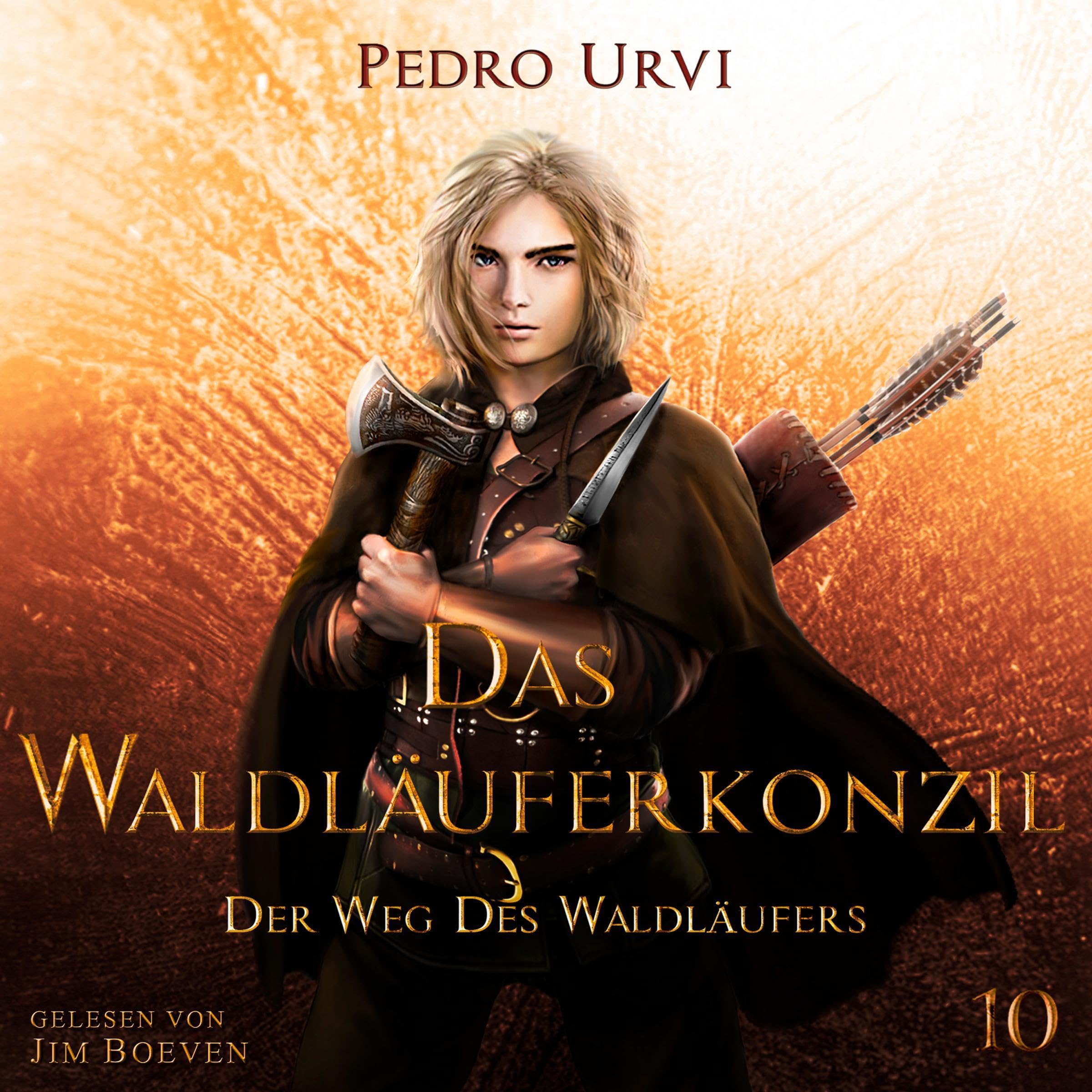 Cover art for Das Waldläuferkonzil [The Ranger Council]