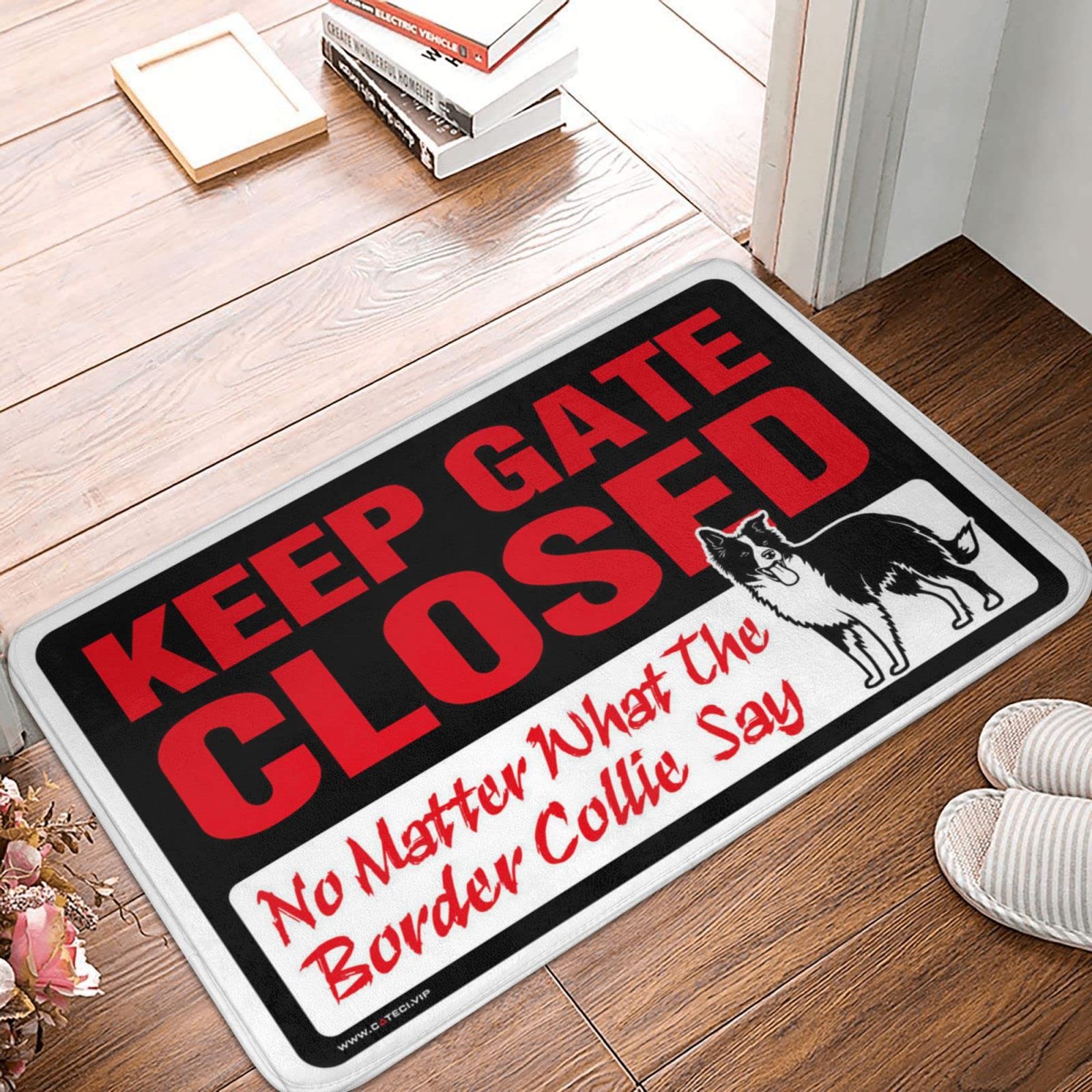 Paillasson Border Collie avec message drôle et humoristique pour tapis de porche 50x80