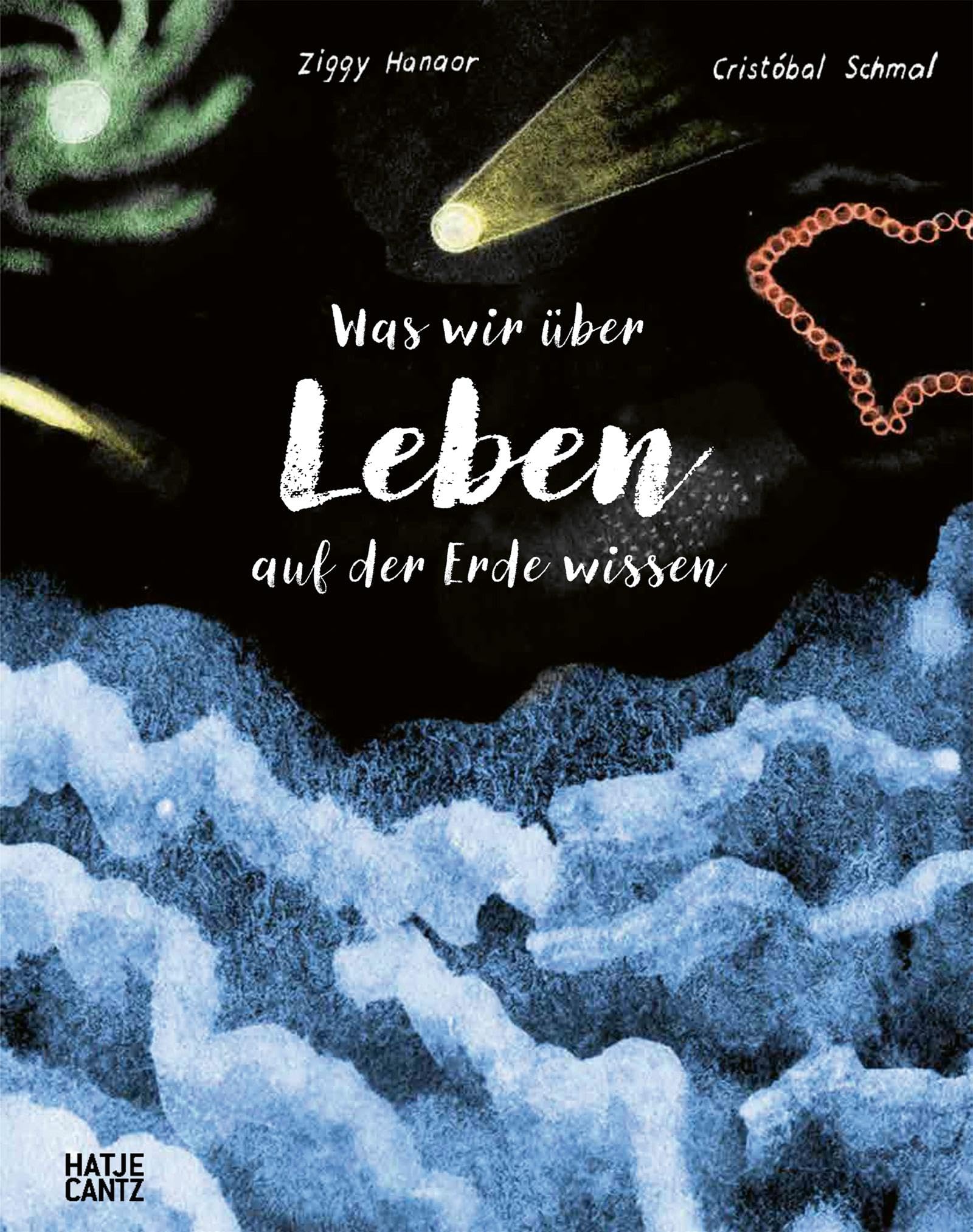 Was wir über Leben auf der Erde wissen: Urknall, Weltall und wir alle: Die Entstehung des Lebens und die Evolution poetisch und magisch erzählt. Sachbilderbuch für Kinder ab 6