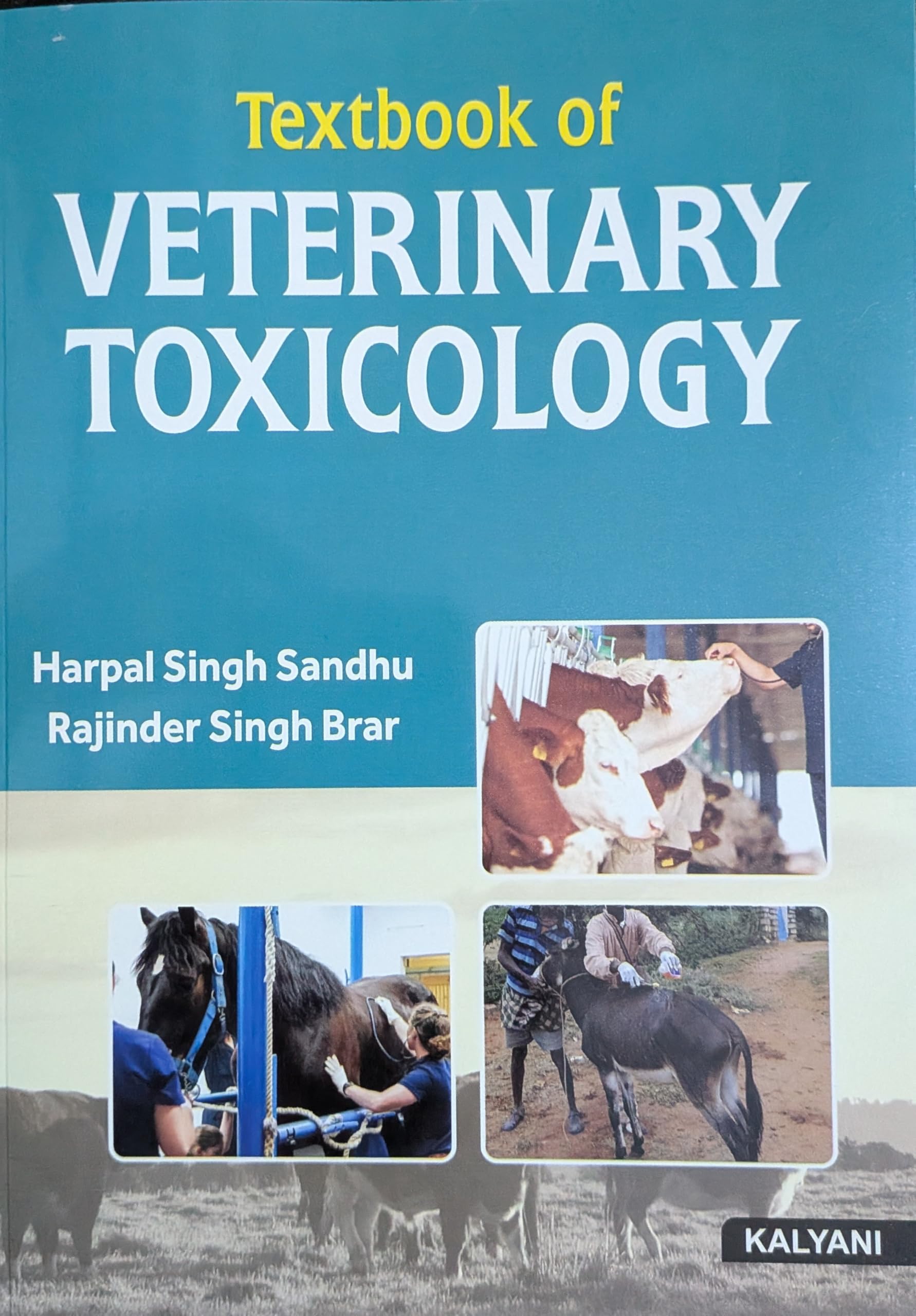【裁断済】Veterinary Circulation 全巻セットNo.1〜28 裁断済】Veterinary Circulation 全巻セットNo.1〜28 【公式通販】